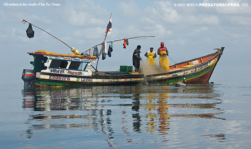 gill net boat